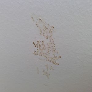 Meet your Posher, Gene